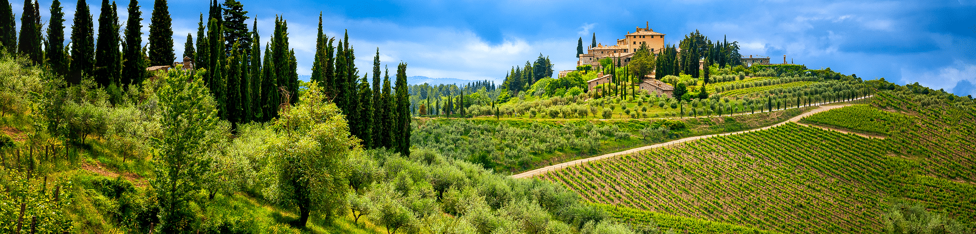 Vinaro Itlaiaanse wijnen - slider