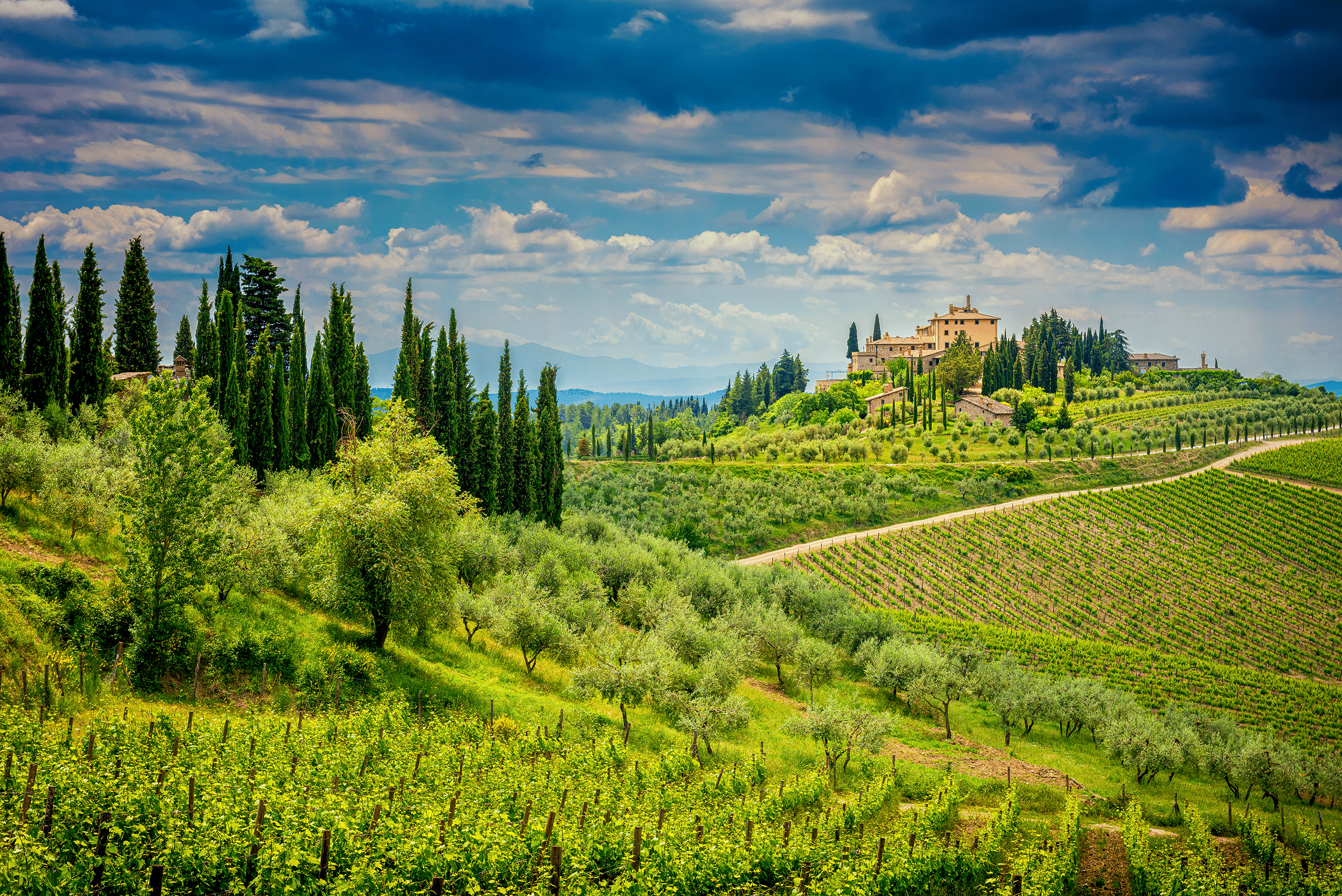 Vinaro Itlaiaanse wijnen - slider